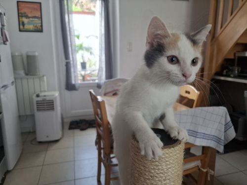 Alma