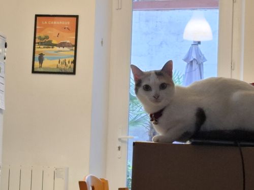 Alma